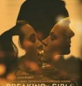 Breaking the Girls (2013)