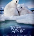 IMAX To The Arctic 2012