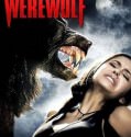 Never Cry Werewolf (2008)