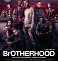 Brotherhood (2016)