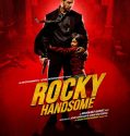 Rocky Handsome (2016)
