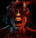 The Gracefield Incident (2017)