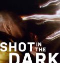 Shot in the Dark (2017-)
