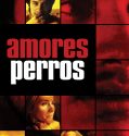 Amores perros (2000)