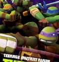 Teenage Mutant Ninja Turtles (2012)