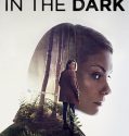 In the Dark (2017-)