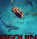 THE REQUIN (2022)